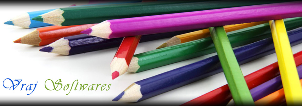Website Development - Vraj Softwares